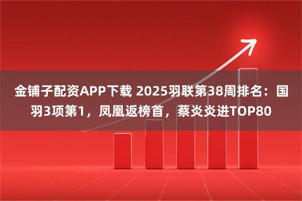 金铺子配资APP下载 2025羽联第38周排名：国羽3项第1，凤凰返榜首，蔡炎炎进TOP80