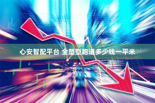 心安智配平台 全塑型跑道多少钱一平米