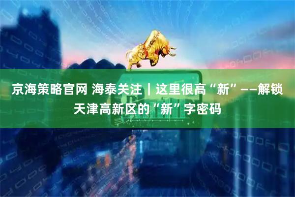 京海策略官网 海泰关注｜这里很高“新”——解锁天津高新区的“新”字密码