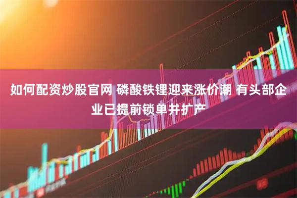 如何配资炒股官网 磷酸铁锂迎来涨价潮 有头部企业已提前锁单并扩产