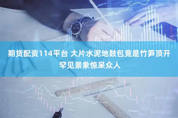 期货配资114平台 大片水泥地鼓包竟是竹笋顶开 罕见景象惊呆众人