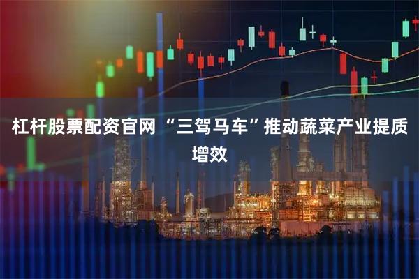 杠杆股票配资官网 “三驾马车”推动蔬菜产业提质增效